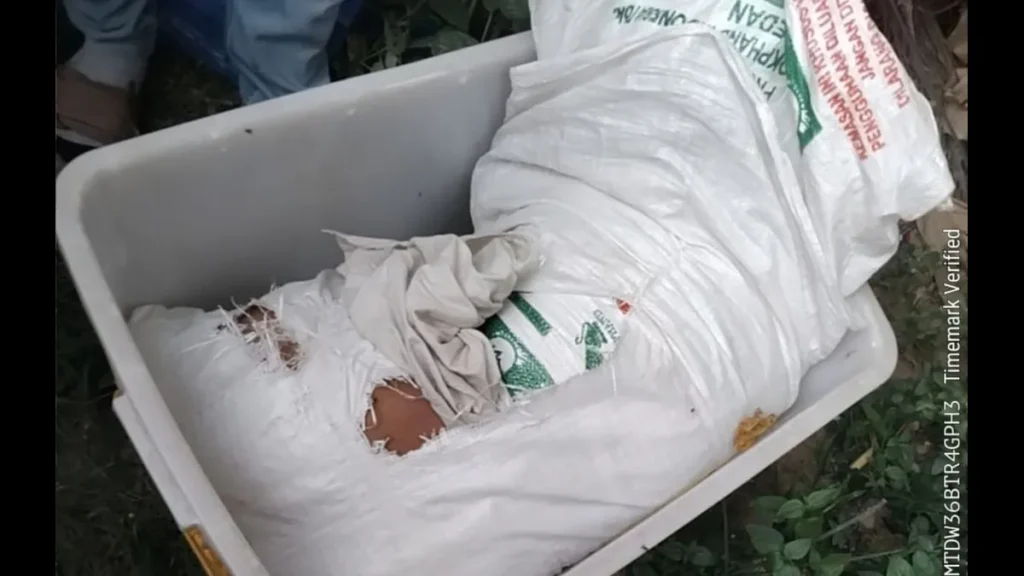 mayat wanita dalam karung medan